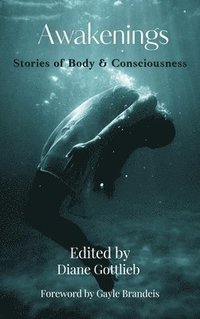 bokomslag Awakenings: Stories of Body and Consciousness