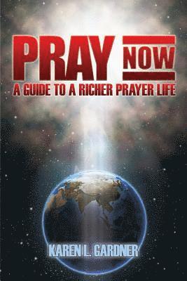 bokomslag Pray Now: A Guide to a Richer Prayer Life