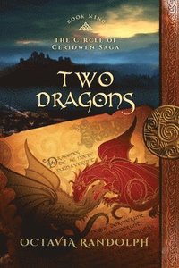 bokomslag Two Dragons