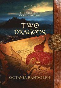 bokomslag Two Dragons