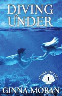 bokomslag Diving Under