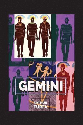 bokomslag Gemini