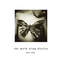 bokomslag The Moth Wing Diaries