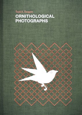 Ornithological Photographs 1