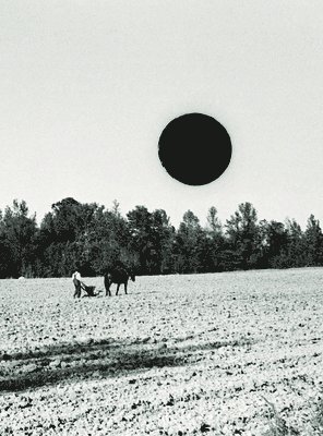 Bill McDowell, Bill Mcdowell - Ground, Inbunden