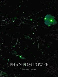 bokomslag Phantom Power