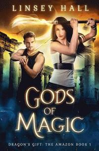bokomslag Gods of Magic