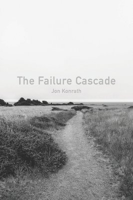 bokomslag The Failure Cascade