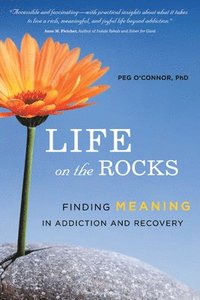 bokomslag Life on the Rocks: Finding Meaning in Addiction and Recovery
