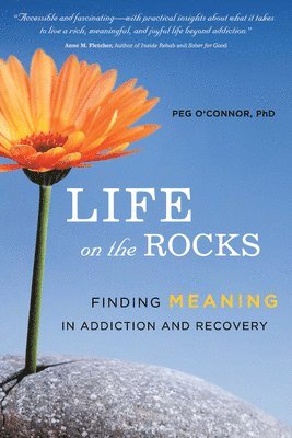 bokomslag Life on the Rocks: Finding Meaning in Addiction and Recovery
