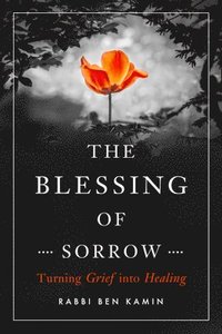 bokomslag The Blessing of Sorrow