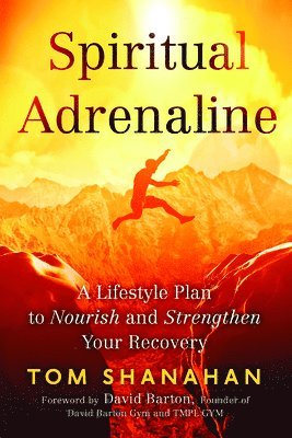 bokomslag Spiritual Adrenaline: A Lifestyle Plan to Nourish and Strengthen Your Recovery