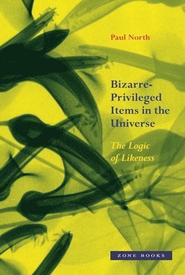 bokomslag BizarrePrivileged Items in the Universe  The Logic of Likeness