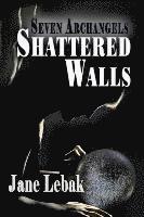 bokomslag Shattered Walls