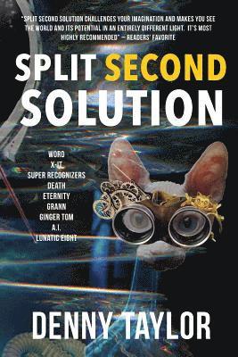 bokomslag Split Second Solution