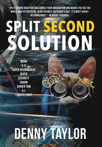 bokomslag Split Second Solution