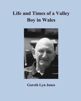 bokomslag Life and Times of a Valley Boy in Wales