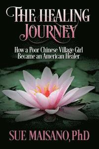 bokomslag Healing Journey
