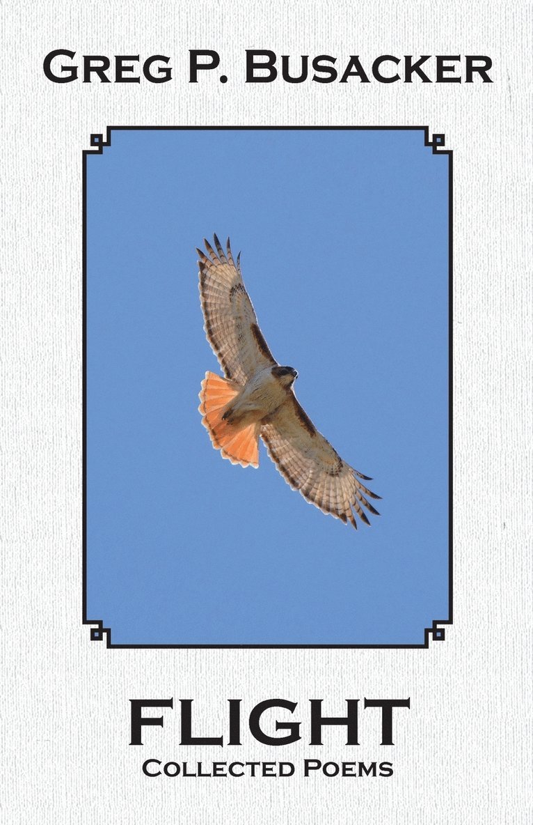 Greg P Busacker - Flight, Häftad