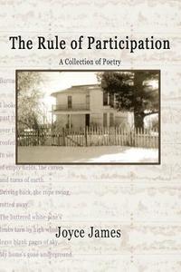 bokomslag Rule of Participation