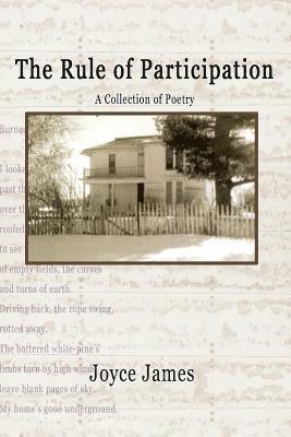bokomslag Rule of Participation