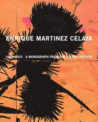 bokomslag Enrique Martnez Celaya: 19902015