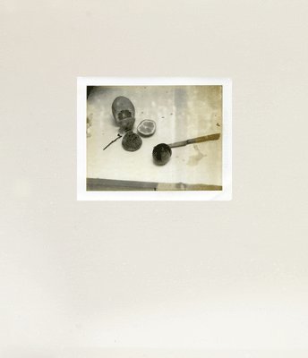 Nathalie Herschdorfer - Laura Letinsky - Time's Assignation, Inbunden