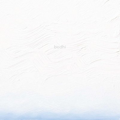 Joan Watts - bodhi, Inbunden