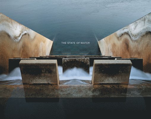 Brad Temkin: The State of Water, Inbunden. Tillgänglighet: Lägg i varukorg