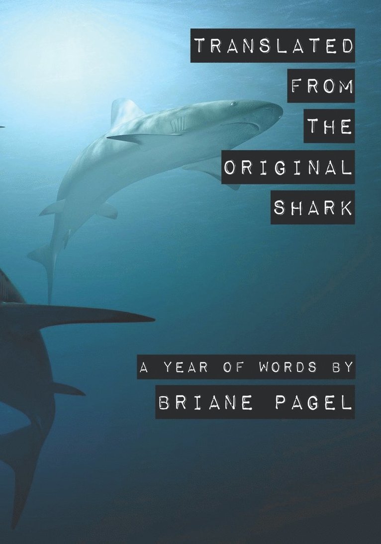 Translated From the Original Shark 1