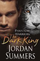 bokomslag Phantom Warriors: The Dark King