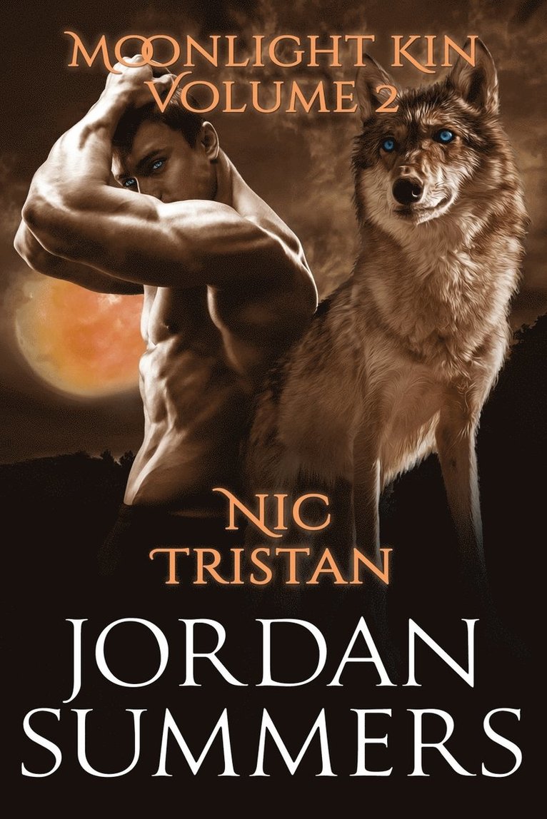 Jordan Summers - Moonlight Kin Vol. 2, Häftad