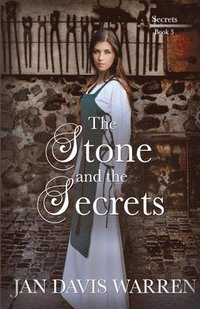 bokomslag The Stone and the Secrets