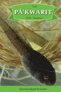 bokomslag Iva' Pa'kwarit Po'e' 'Axanya
