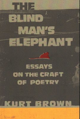 bokomslag Blind Man's Elephant