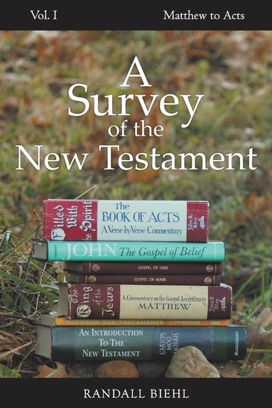 bokomslag A Survey of the New Testament