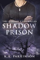 The Shadow Prison 1