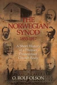 bokomslag The Norwegian Synod 1853-1917
