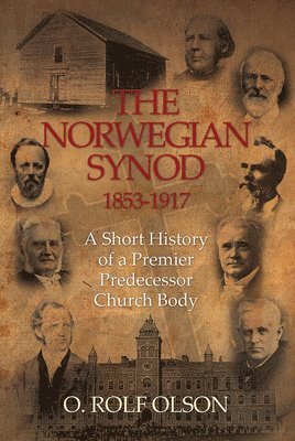 bokomslag Norwegian Synod 1853-1917