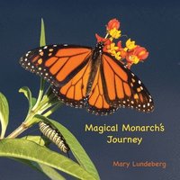 bokomslag Magical Monarch's Journey