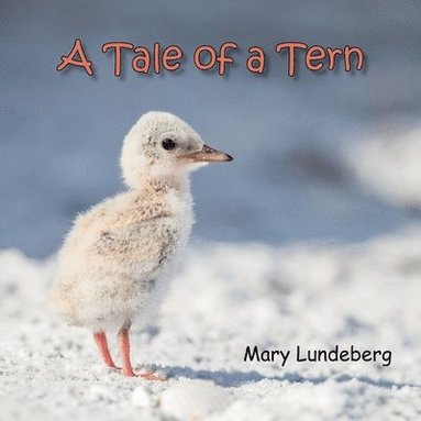 bokomslag A Tale of a Tern