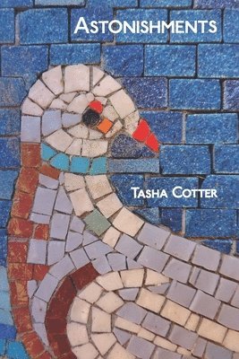 Tasha Cotter, Diane Kistner - Astonishments, Häftad