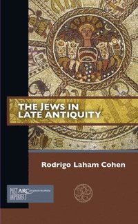 bokomslag The Jews in Late Antiquity