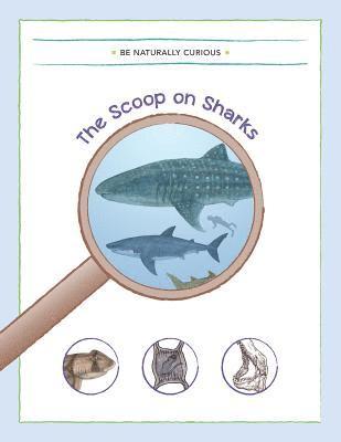 Scoop on Sharks