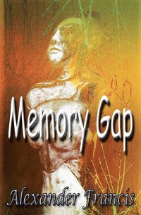 bokomslag Memory Gap