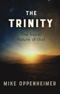 bokomslag Trinity