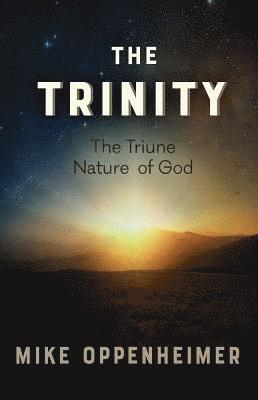 bokomslag Trinity