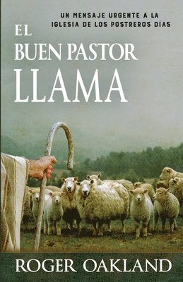 El Buen Pastor Llama 1