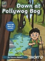 Down at Pollywog Bog 1