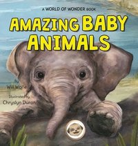 bokomslag Amazing Baby Animals